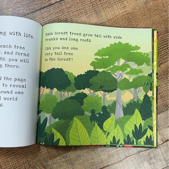 NEW Usborne Shine A Light Bundle Seashore Rainforest Ocean Beach Nature Outdoor - Picture 5 of 6